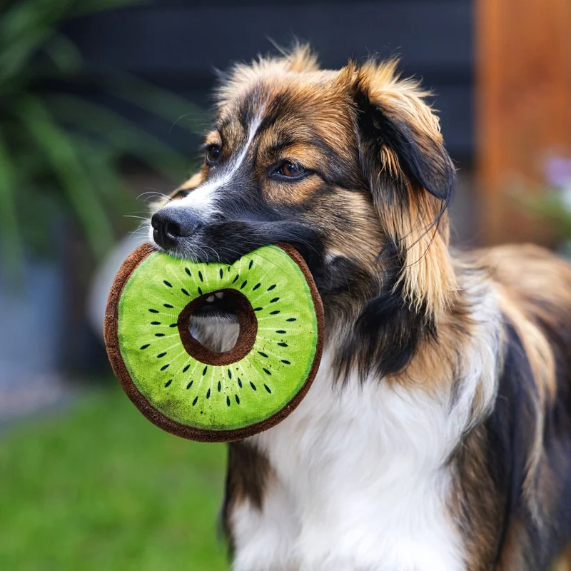 Beeztees Hundespielzeug FRUITY DONUTS - knistert quietscht - Apportierspielzeug