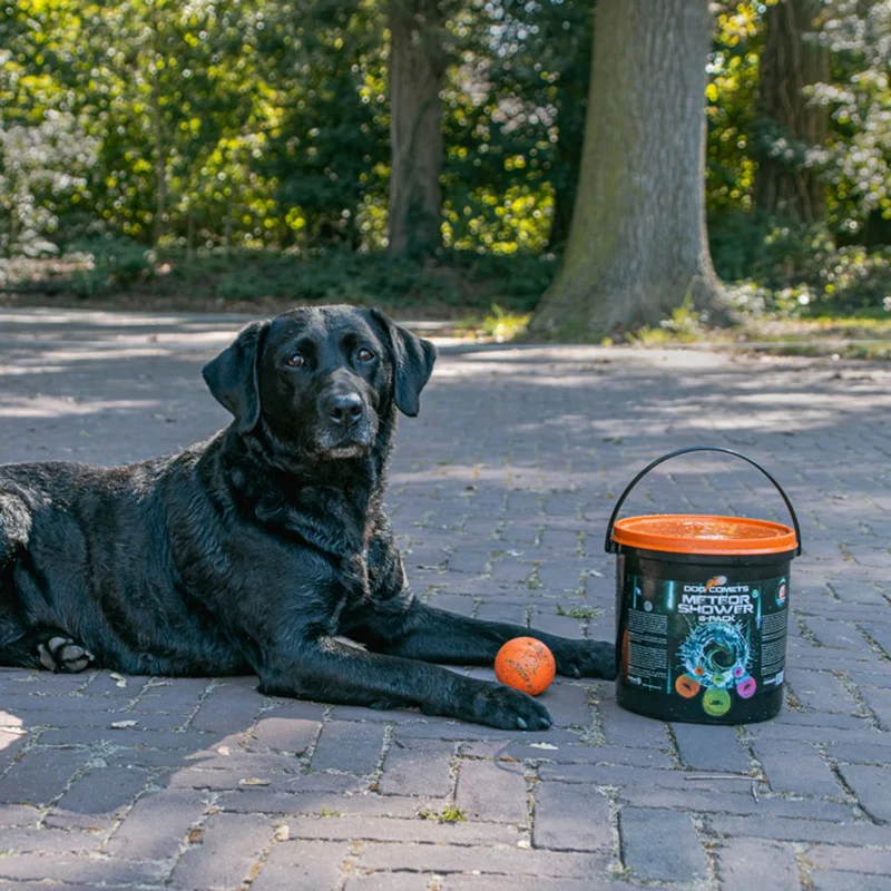 Dog Comets METEOR SHOWER - 6x Stardust Ball M inkl. Eimer - Apportierspielzeug