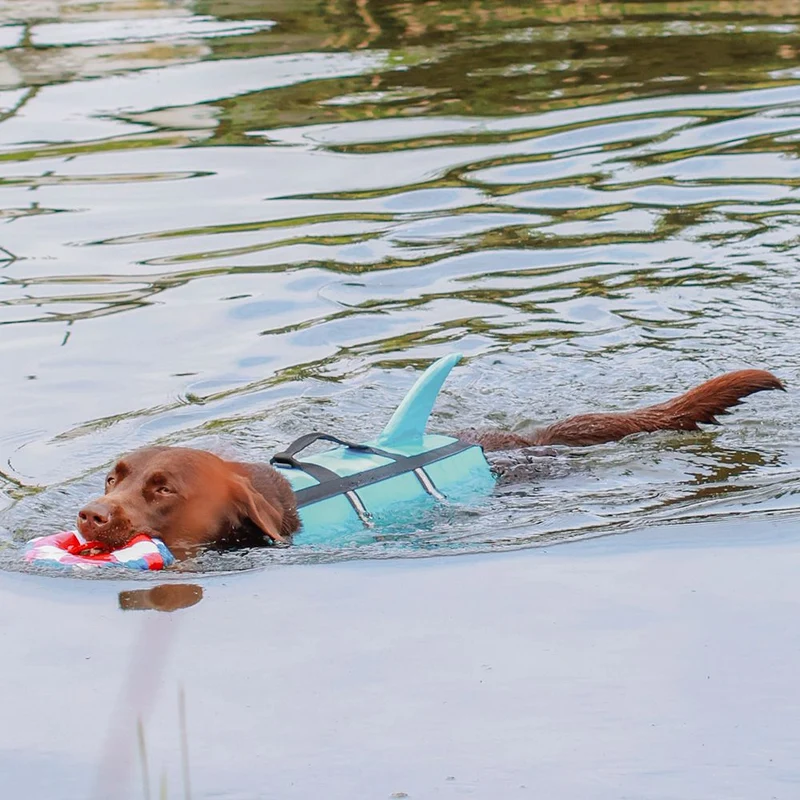 Nobby Schwimmhilfe SHARKI für Hunde - blau/pink - Rettungsweste - Schwimmweste