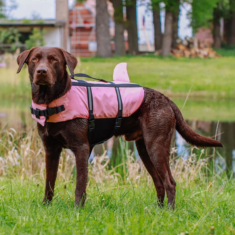 Nobby Schwimmhilfe SHARKI für Hunde - blau/pink - Rettungsweste - Schwimmweste