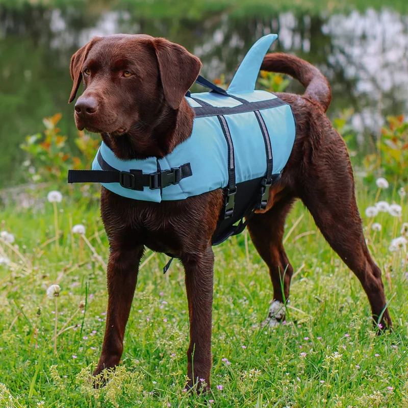Nobby Schwimmhilfe SHARKI für Hunde - blau/pink - Rettungsweste - Schwimmweste