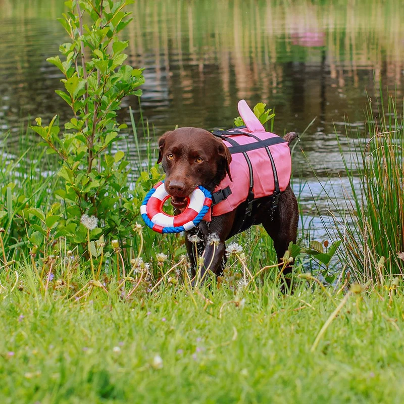 Nobby Schwimmhilfe SHARKI für Hunde - blau/pink - Rettungsweste - Schwimmweste