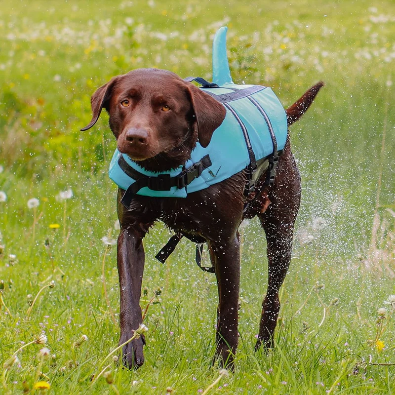Nobby Schwimmhilfe SHARKI für Hunde - blau/pink - Rettungsweste - Schwimmweste