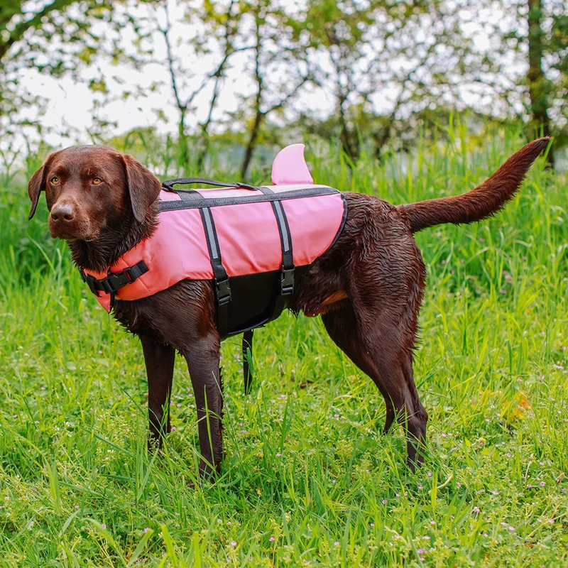 Nobby Schwimmhilfe SHARKI für Hunde - blau/pink - Rettungsweste - Schwimmweste