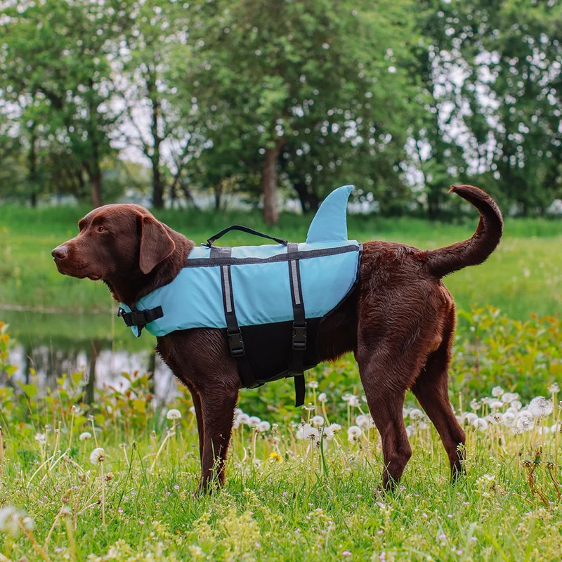 Nobby Schwimmhilfe SHARKI für Hunde - blau/pink - Rettungsweste - Schwimmweste