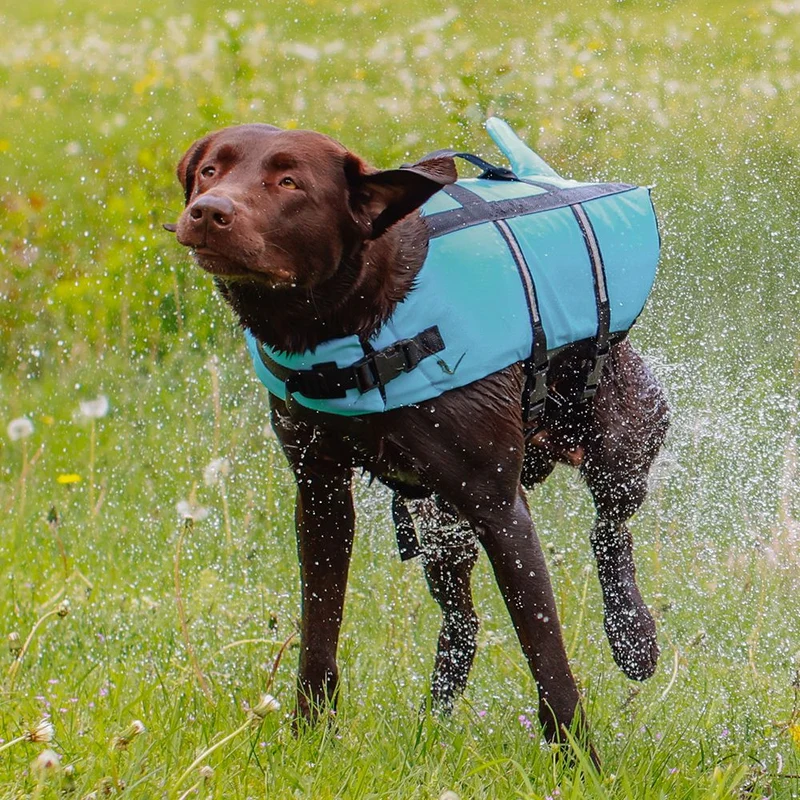 Nobby Schwimmhilfe SHARKI für Hunde - blau/pink - Rettungsweste - Schwimmweste