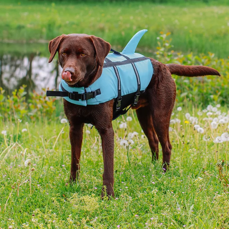 Nobby Schwimmhilfe SHARKI für Hunde - blau/pink - Rettungsweste - Schwimmweste