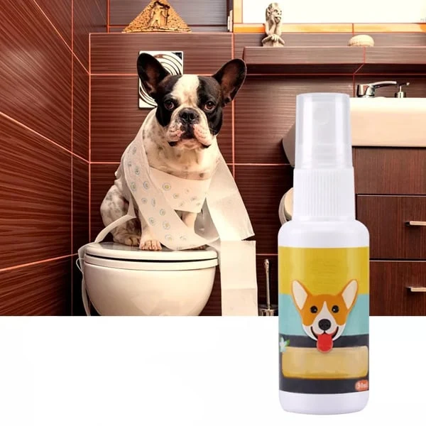 Stubenrein Trainingsspray für Welpen Hunde und Katzen