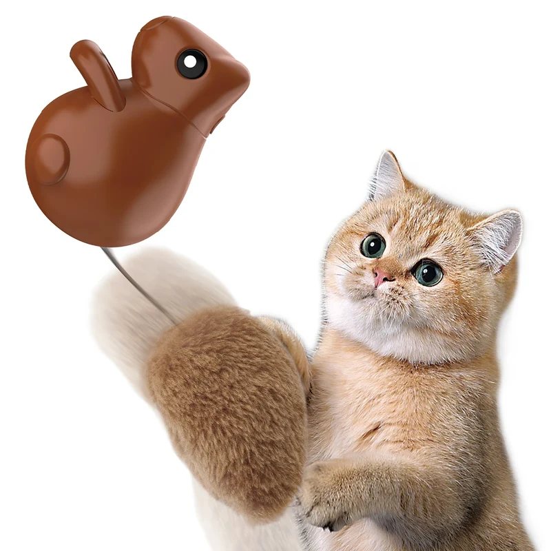 Eichhörnchenschwanz Katzenspielzeug