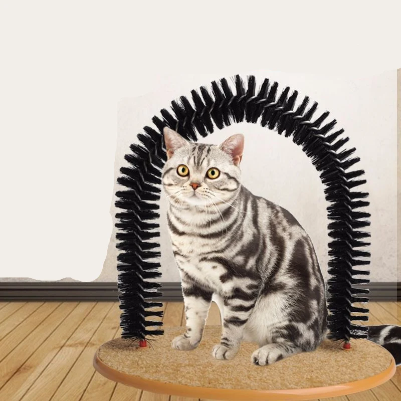 Katzen Spiel und Massagebürste