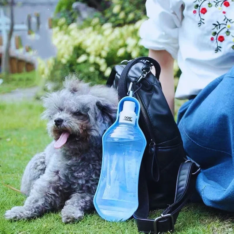 Tragbare Hunde-Trinkflasche mit Schale und Karabiner – Ideal für Spaziergänge und Reisen