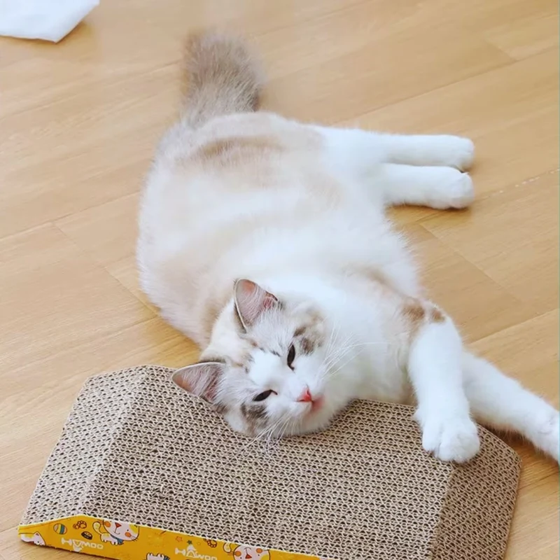 Katzenkratzbrett Im Schrägdesign – Kratzmatte für Krallenpflege mit Süßem Design