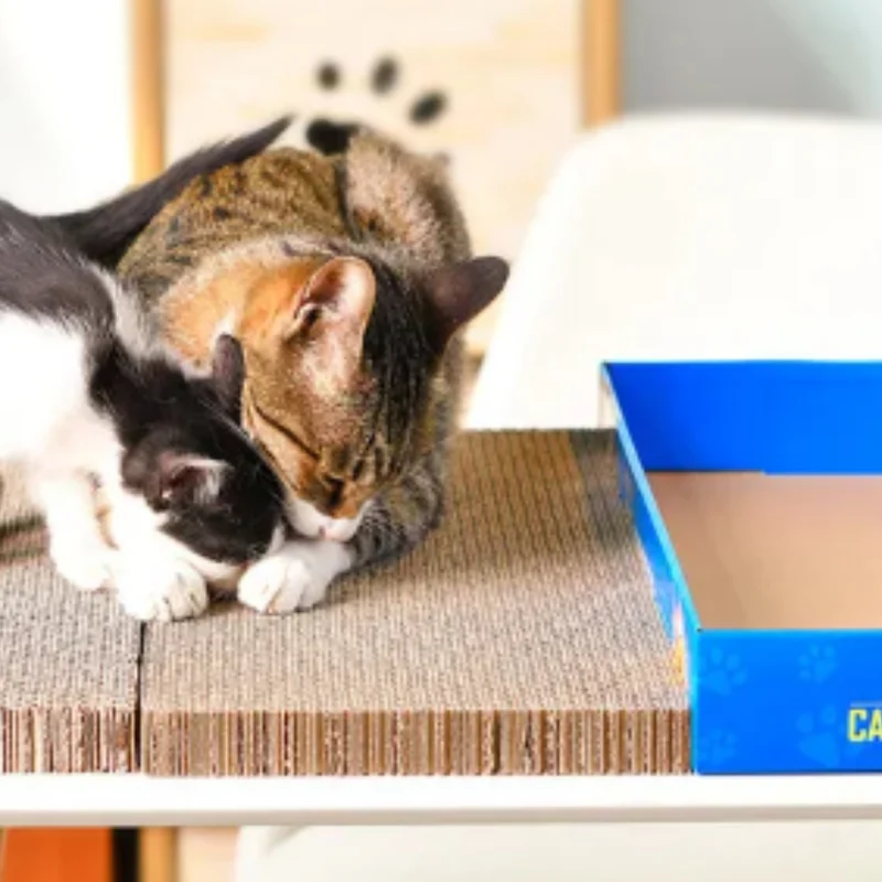 Kratzbrett für Katzen mit Ersatzpads Nachhaltiges Wellpappe Design