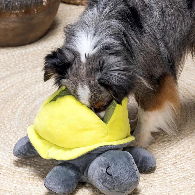 Beeztees Hide&Seek SCHILDKRÖTE - Snackspielzeug - Plüsch-Hundespielzeug Kuschel