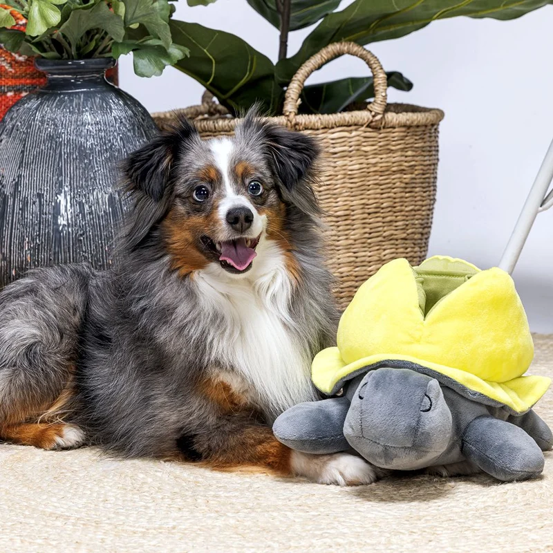 Beeztees Hide&Seek SCHILDKRÖTE - Snackspielzeug - Plüsch-Hundespielzeug Kuschel