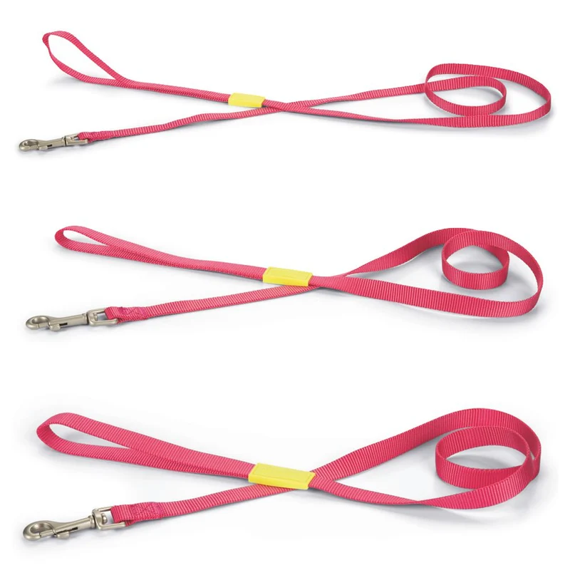 Beeztees Leine 120 cm - pink - XS/S/M - Nylon Hundeleine 1,2 m Welpenleine
