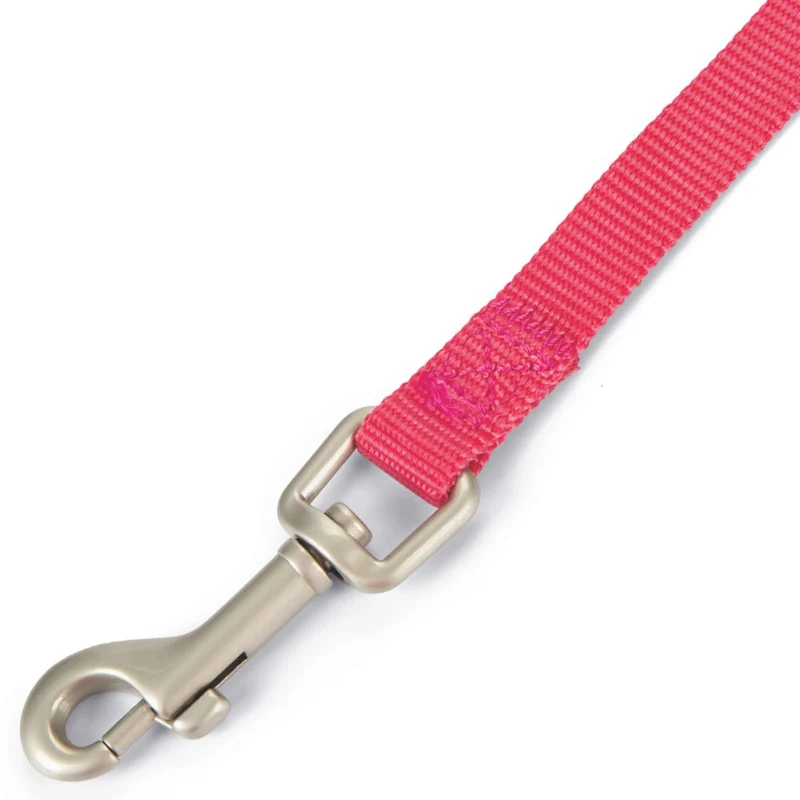 Beeztees Leine 120 cm - pink - XS/S/M - Nylon Hundeleine 1,2 m Welpenleine
