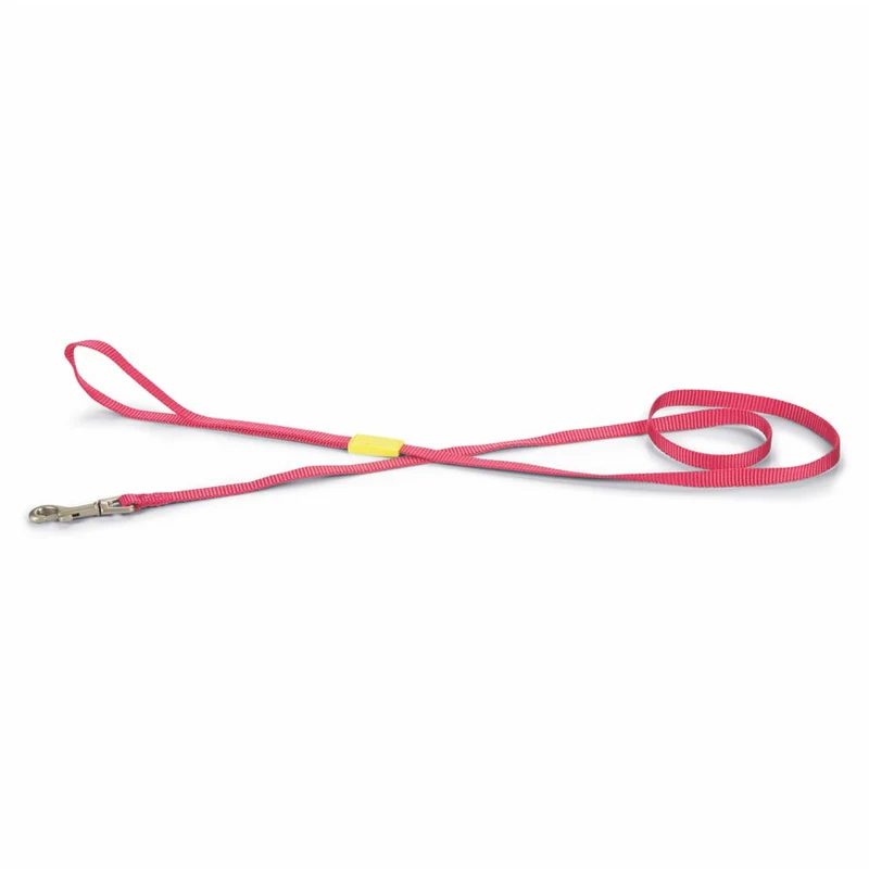 Beeztees Leine 120 cm - pink - XS/S/M - Nylon Hundeleine 1,2 m Welpenleine
