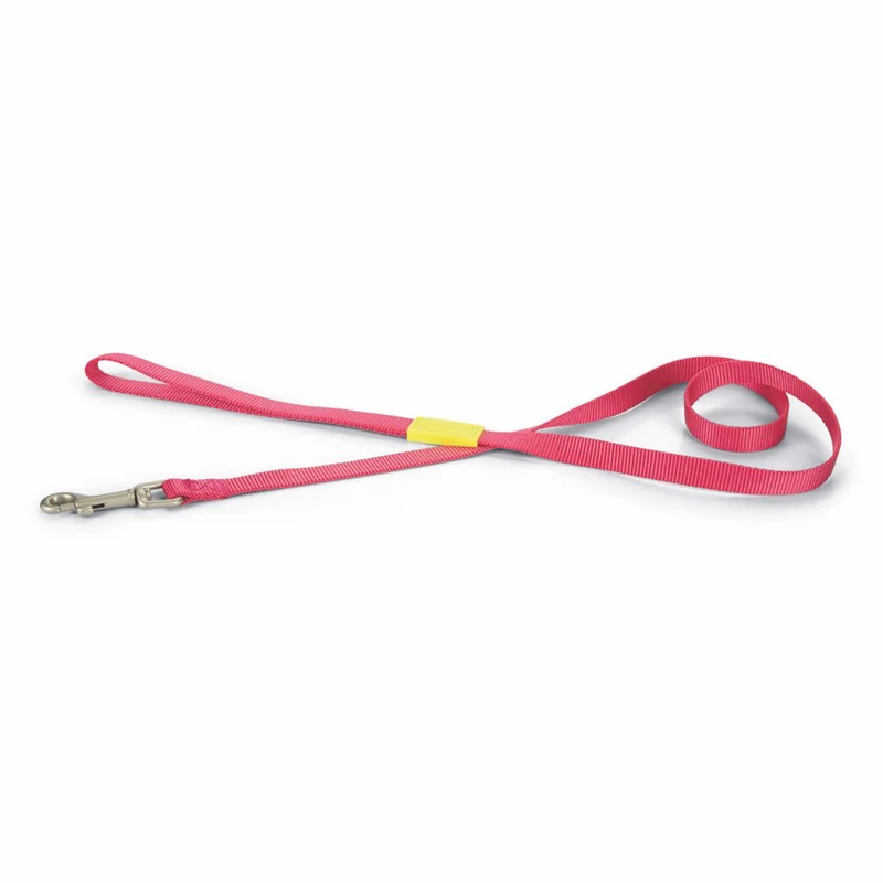 Beeztees Leine 120 cm - pink - XS/S/M - Nylon Hundeleine 1,2 m Welpenleine