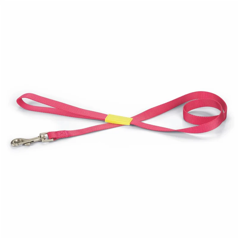 Beeztees Leine 120 cm - pink - XS/S/M - Nylon Hundeleine 1,2 m Welpenleine