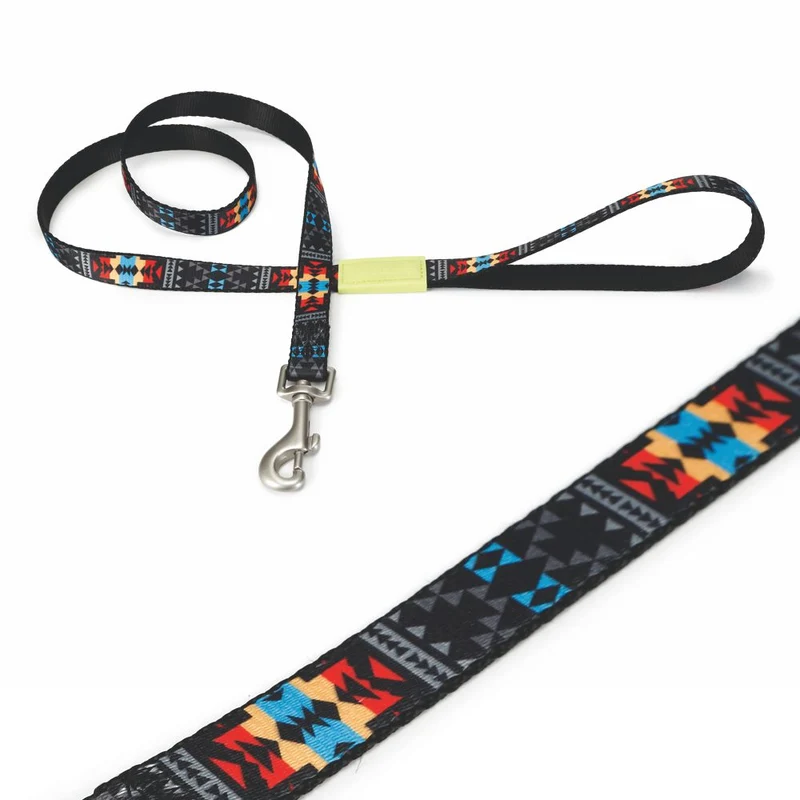 Beeztees Leine MUCADI 120 cm bunt - XS/S/M - Nylon Hundeleine 1,2 m Welpenleine