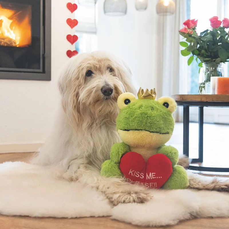 Beeztees Plüsch-Hundespielzeug - Froschkönig - 32 cm Plüschspielzeug Kuscheltier