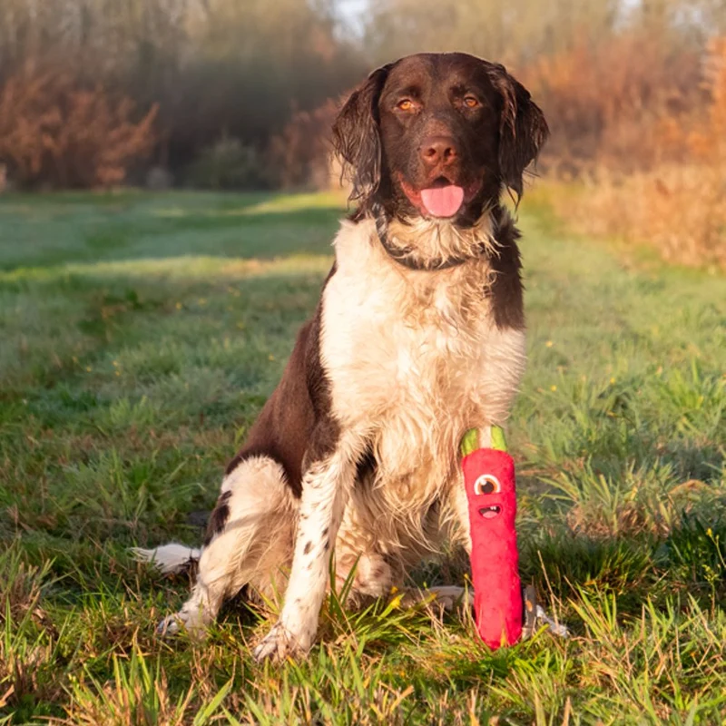 Dog Comets INVADERS - Plüsch - Apportierspielzeug - Stick - knistert - quietscht