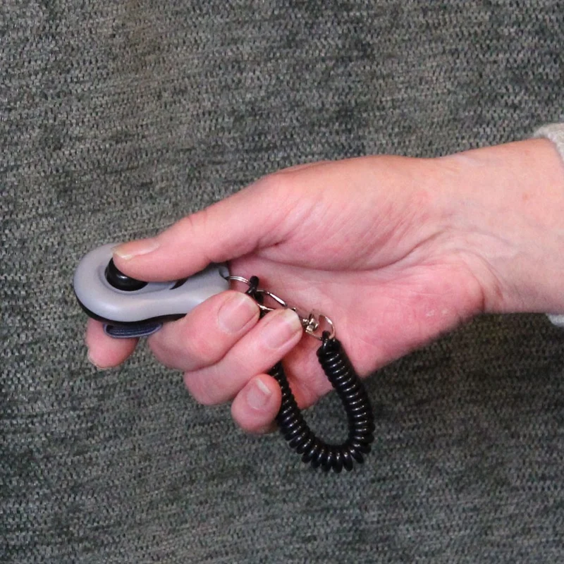 Excellent Pets Clicker - Hund Katze Pferd - Klicker für Training und Erziehung
