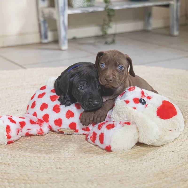 Beeztees Plüsch-Hundespielzeug KNUFFEL - 45 cm - XL Kuschelhunde Plüschspielzeug
