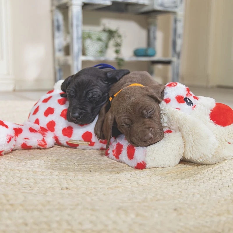 Beeztees Plüsch-Hundespielzeug KNUFFEL - 45 cm - XL Kuschelhunde Plüschspielzeug
