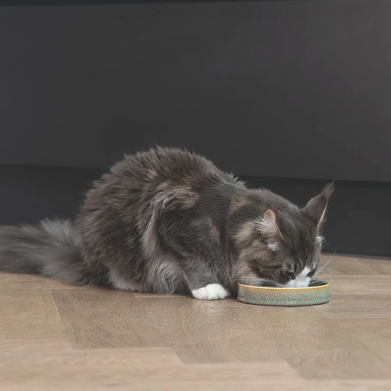 Designed by Lotte Keramik Katzennapf JACE - Milchschale Futternapf Fressnapf