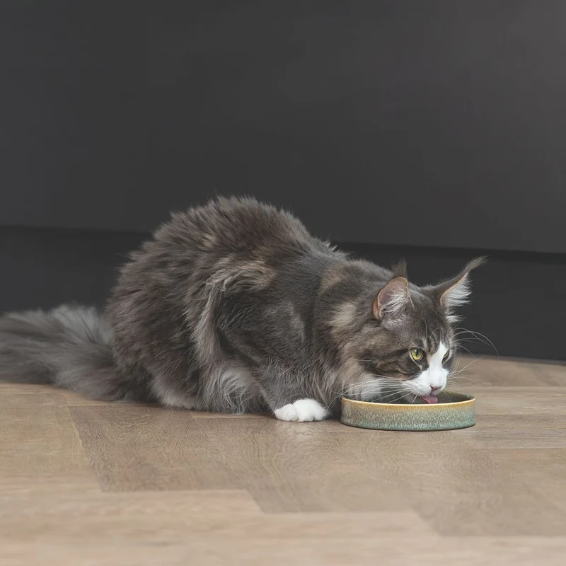 Designed by Lotte Keramik Katzennapf JACE - Milchschale Futternapf Fressnapf