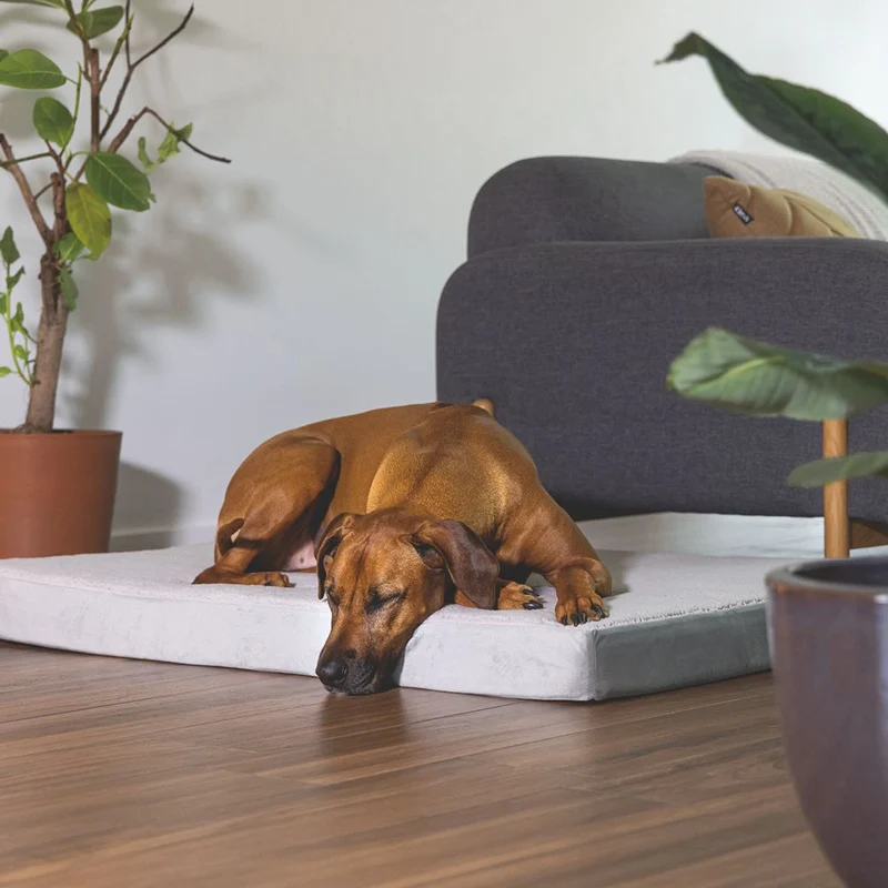 Beeztees orthopädisches Hundebett ZIRA - hellgrau - Hundekissen Schlafplatz