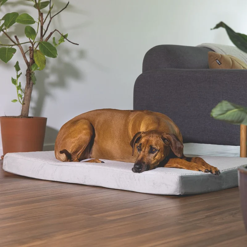Beeztees orthopädisches Hundebett ZIRA - hellgrau - Hundekissen Schlafplatz