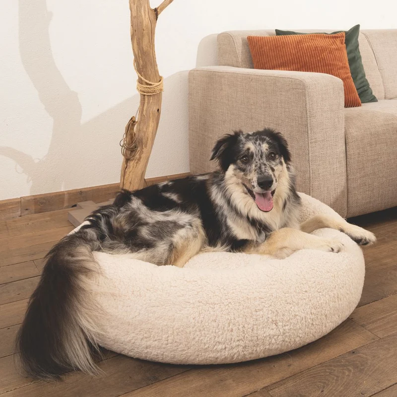 Beeztees JAXX - orthopädisches Hundebett rund - beige - Hundekissen Schlafplatz