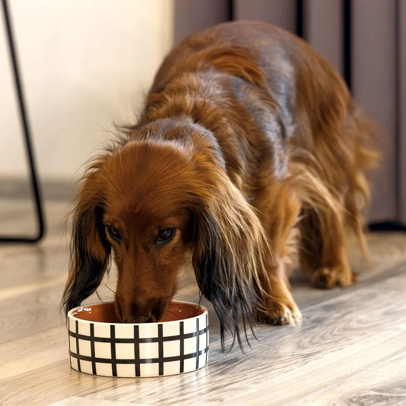 Beeztees Keramik Hundennapf - 3 Größen Futternapf Fressnapf Wassernapf für Hunde