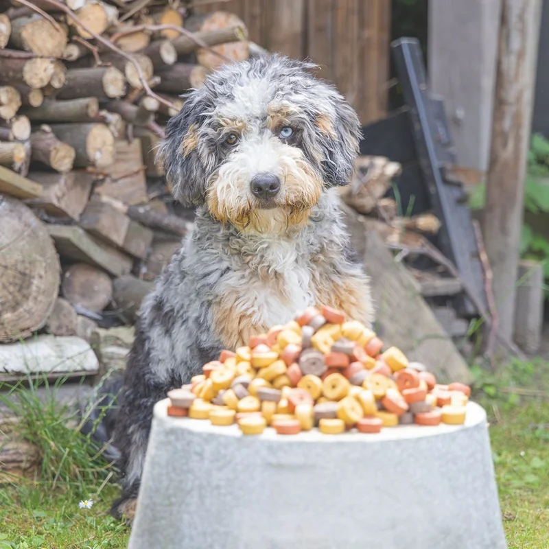 Beeztees Mjammies MIX - mit Huhn, Lamm & Rind - 1250 g - Hundesnacks Leckerli