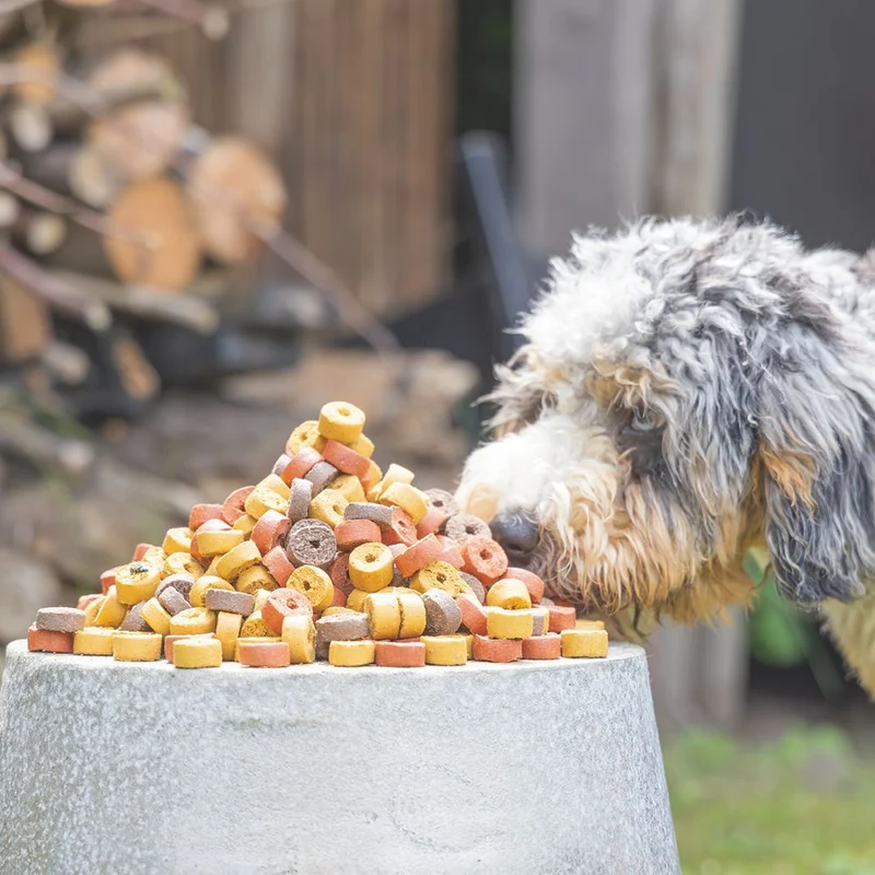 Beeztees Mjammies MIX - mit Huhn, Lamm & Rind - 1250 g - Hundesnacks Leckerli