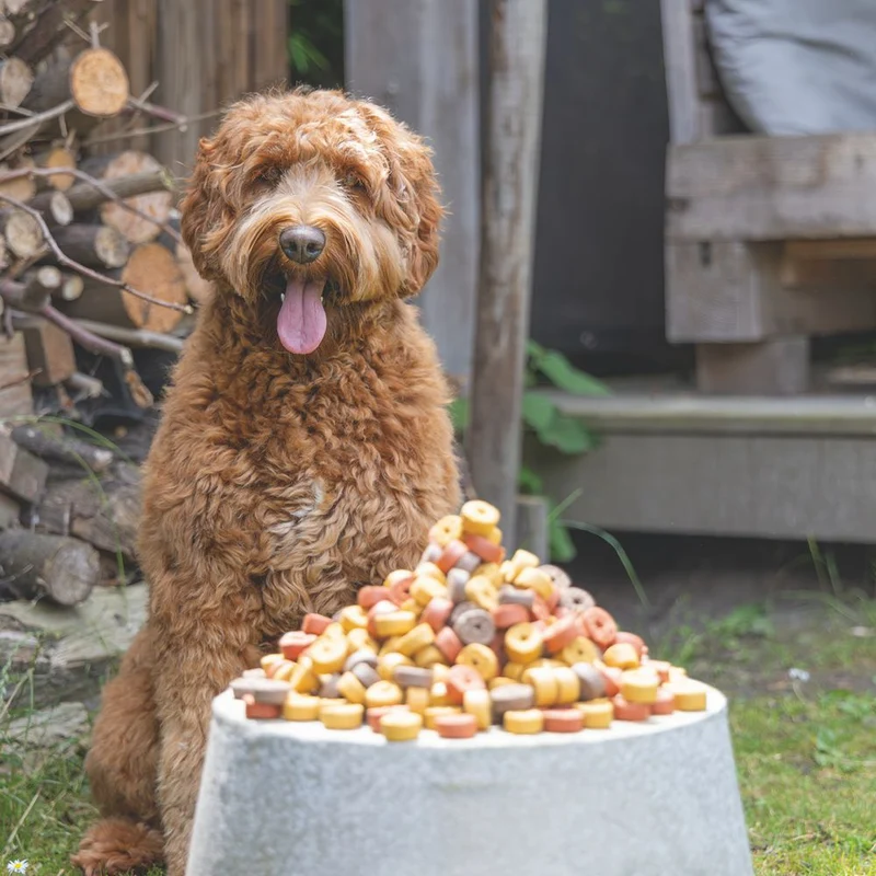 Beeztees Mjammies BEEF - 450 g - Hundesnacks Leckerli - mit Rind & Getreide