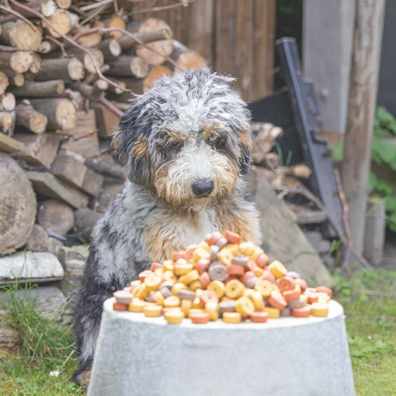 Beeztees Mjammies BEEF - 450 g - Hundesnacks Leckerli - mit Rind & Getreide