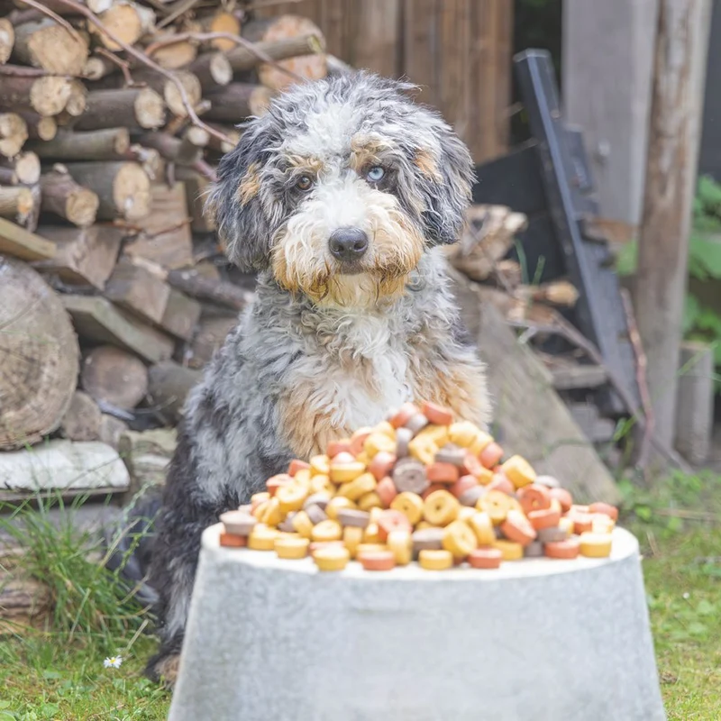 Beeztees Mjammies CHICKEN - 450 g - Hundesnacks Leckerli - mit Huhn & Getreide