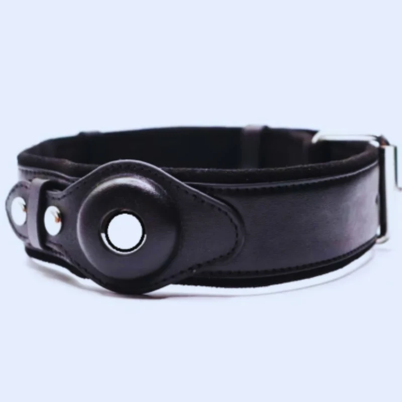 Leder Hundehalsband mit O-Ring – Verstellbares Hundehalfter In Verschiedenen Farben