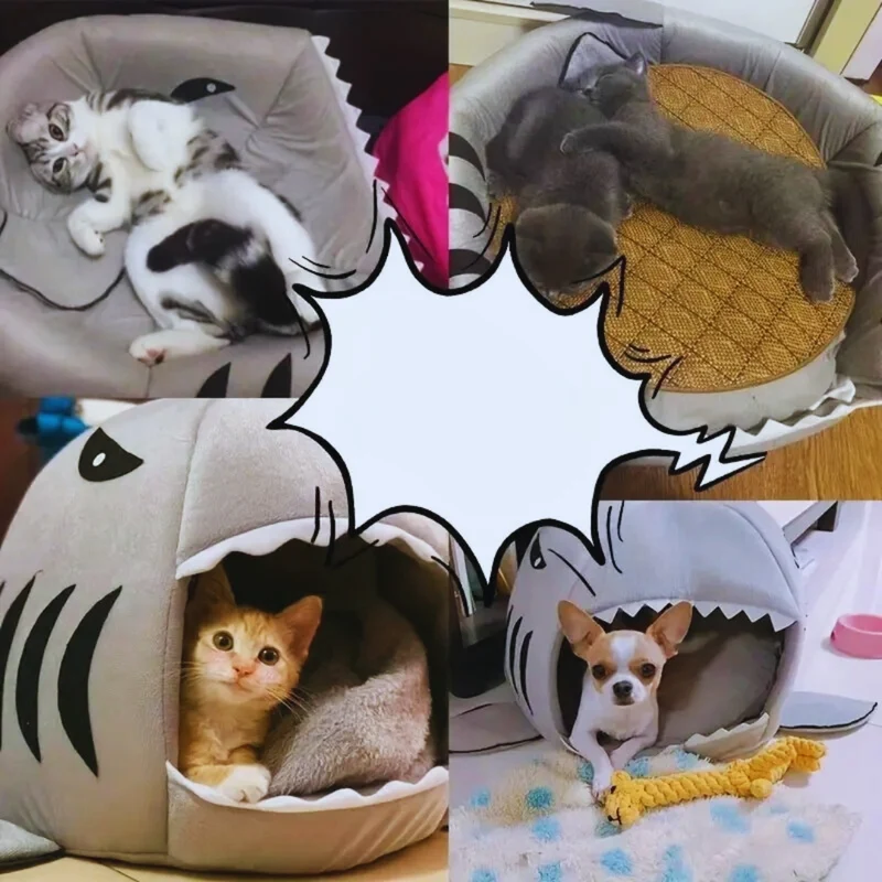 Haiförmiges Kuschelbett für Katzen und Kleine Hunde mit Weichem Innenpolster