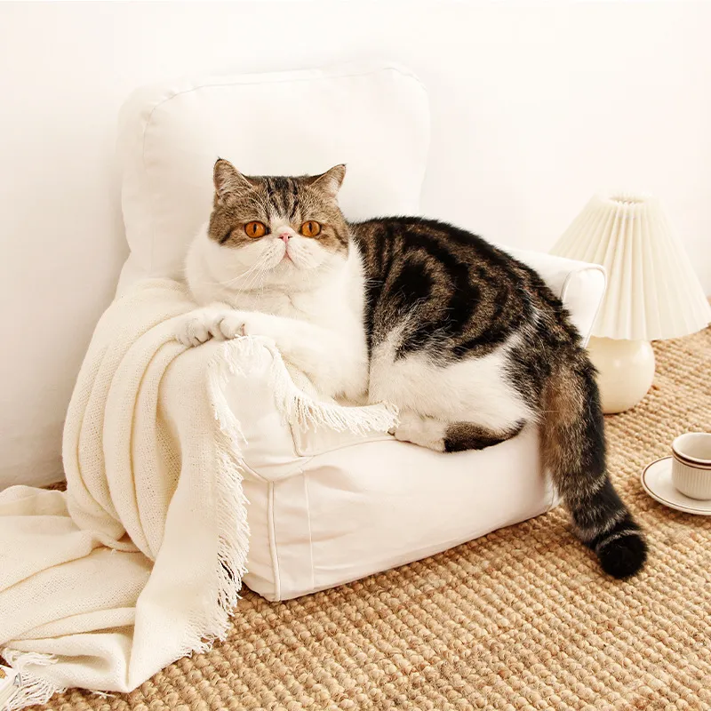 Mini Haustier-Sessel für Katzen und Kleine Hunde – Bequemer Lounge-Stuhl mit Armlehnen