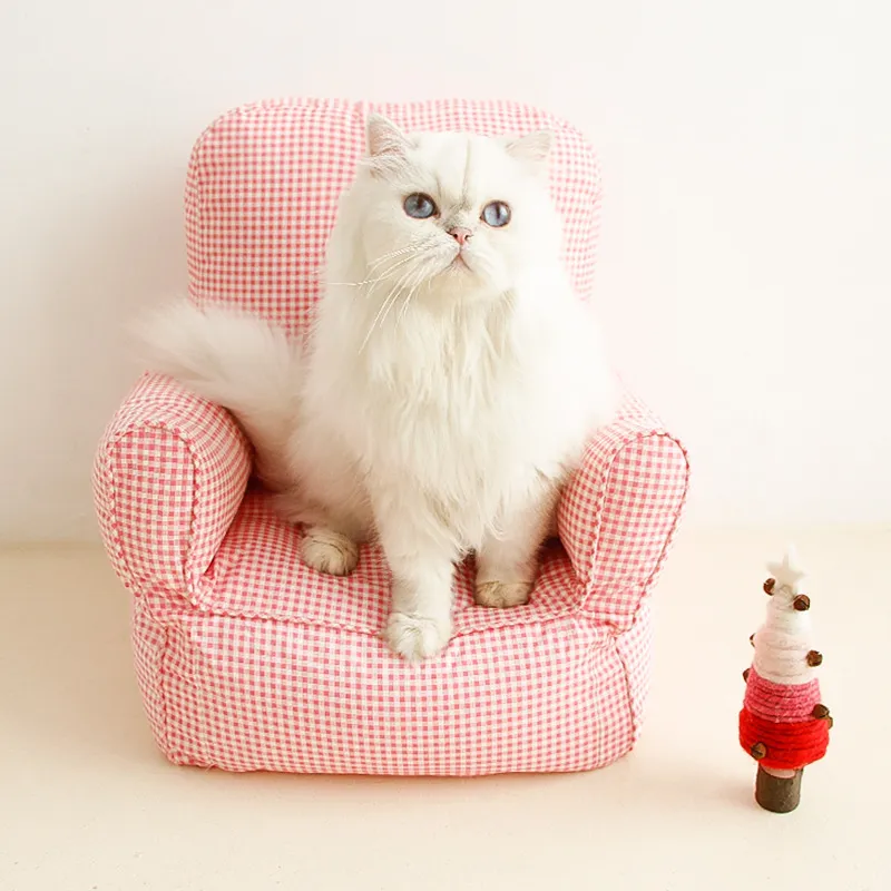 Mini Haustier-Sessel für Katzen und Kleine Hunde – Bequemer Lounge-Stuhl mit Armlehnen
