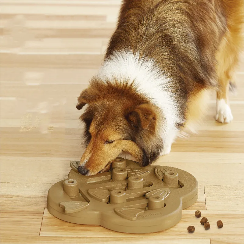 Interaktives Hundespielzeug – Intelligenzspiel mit Schiebefächern für Leckerlis & mentale Stimulation