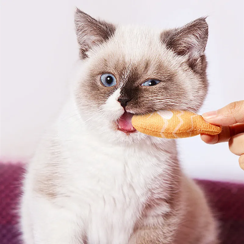 Interaktives Katzenspielzeug – Bunte Fischspielzeuge Im Set Zum Kauen und Spielen