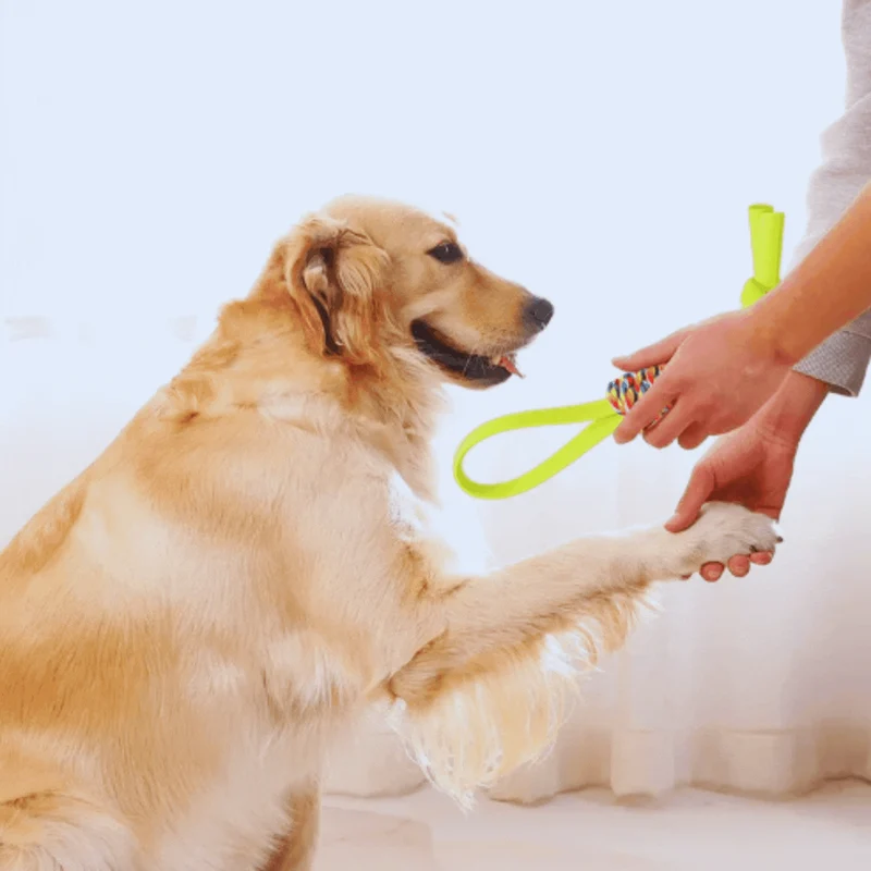 Hundespielzeug Aus Seil – Buntes Zugseil Zum Kauen und Spielen
