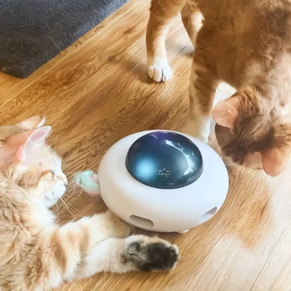 Interaktives Katzenspielzeug mit LED-Lichtern und Schwanzfeder