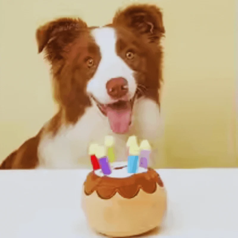 Hundespielzeug Geburtstagskuchen – Mit Kerzen und Plüsch